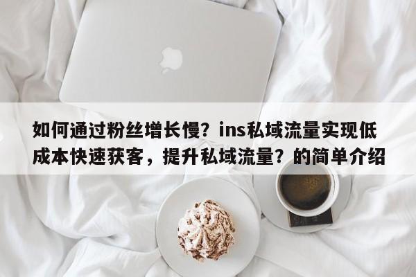 如何通过粉丝增长慢？ins私域流量实现低成本快速获客，提升私域流量？的简单介绍