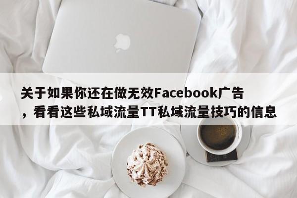 关于如果你还在做无效Facebook广告，看看这些私域流量TT私域流量技巧的信息