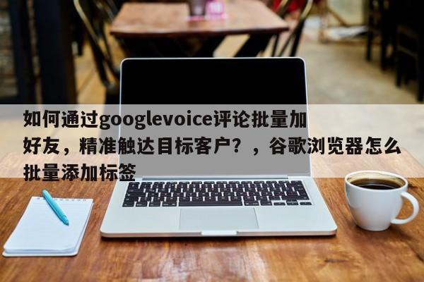 如何通过googlevoice评论批量加好友，精准触达目标客户？，谷歌浏览器怎么批量添加标签