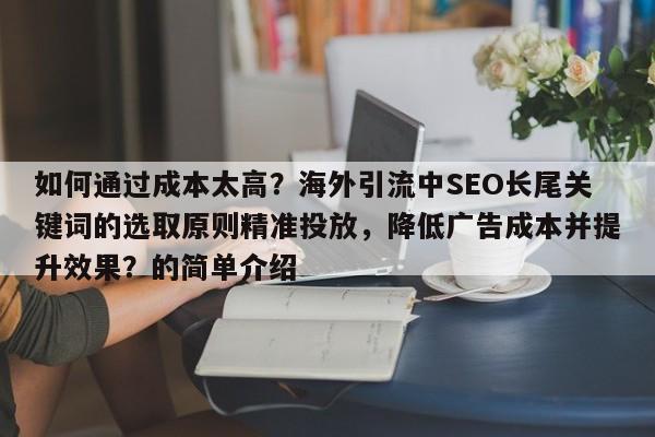 如何通过成本太高？海外引流中SEO长尾关键词的选取原则精准投放，降低广告成本并提升效果？的简单介绍