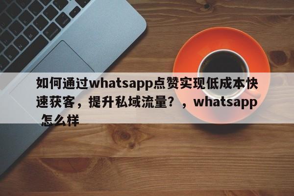 如何通过whatsapp点赞实现低成本快速获客,提升私域流量?,whatsapp 怎么样