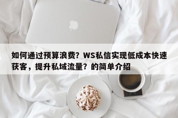 如何通过预算浪费？WS私信实现低成本快速获客，提升私域流量？的简单介绍
