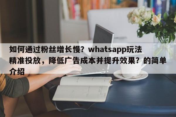 如何通过粉丝增长慢？whatsapp玩法精准投放，降低广告成本并提升效果？的简单介绍