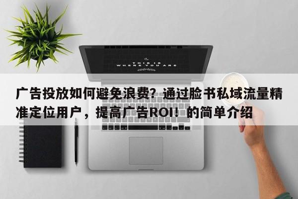 广告投放如何避免浪费？通过脸书私域流量精准定位用户，提高广告ROI！的简单介绍