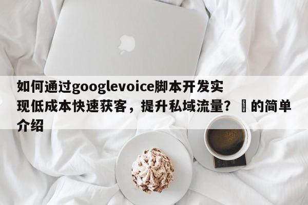 如何通过googlevoice脚本开发实现低成本快速获客，提升私域流量？⚡的简单介绍