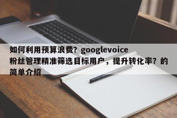 如何利用预算浪费？googlevoice粉丝管理精准筛选目标用户，提升转化率？的简单介绍