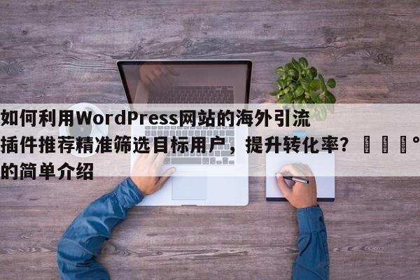 如何利用WordPress网站的海外引流插件推荐精准筛选目标用户，提升转化率？💰的简单介绍