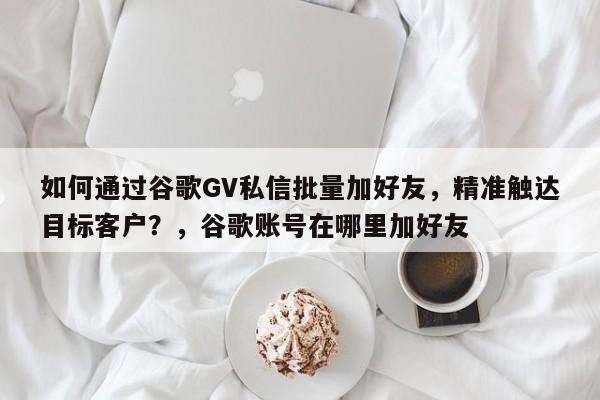 如何通过谷歌GV私信批量加好友，精准触达目标客户？，谷歌账号在哪里加好友