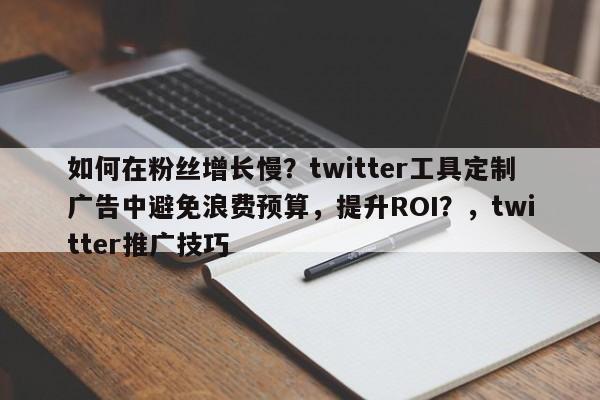 如何在粉丝增长慢？twitter工具定制广告中避免浪费预算，提升ROI？，twitter推广技巧