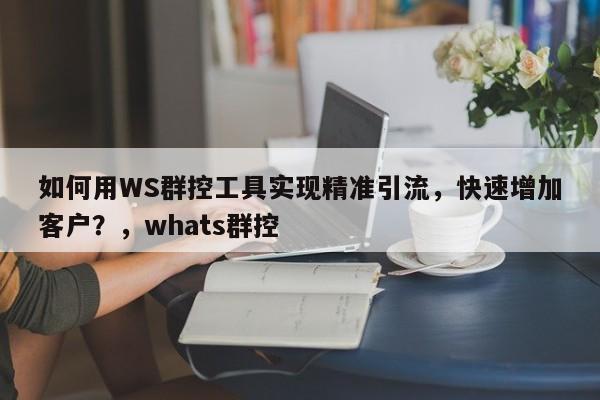 如何用WS群控工具实现精准引流，快速增加客户？，whats群控