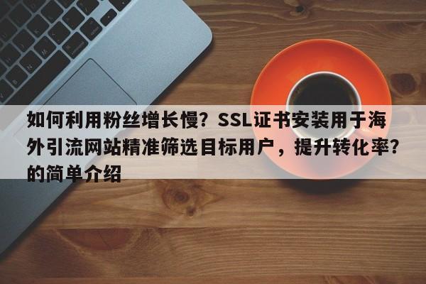 如何利用粉丝增长慢？SSL证书安装用于海外引流网站精准筛选目标用户，提升转化率？的简单介绍
