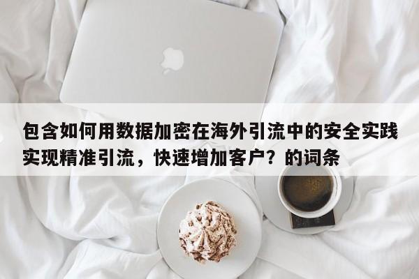 包含如何用数据加密在海外引流中的安全实践实现精准引流，快速增加客户？的词条
