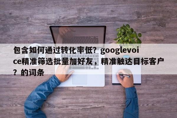 包含如何通过转化率低？googlevoice精准筛选批量加好友，精准触达目标客户？的词条