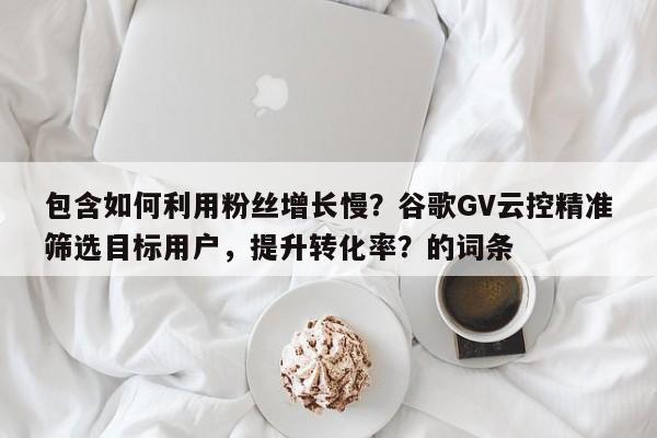 包含如何利用粉丝增长慢？谷歌GV云控精准筛选目标用户，提升转化率？的词条