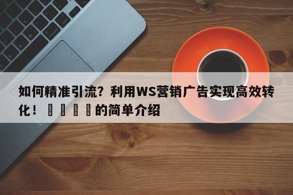 如何精准引流?利用WS营销广告实现高效转化!🚀的简单介绍