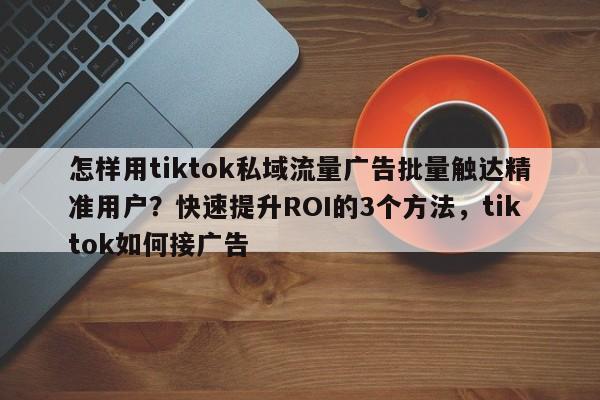 怎样用tiktok私域流量广告批量触达精准用户?快速提升ROI的3个方法,tiktok如何接广告