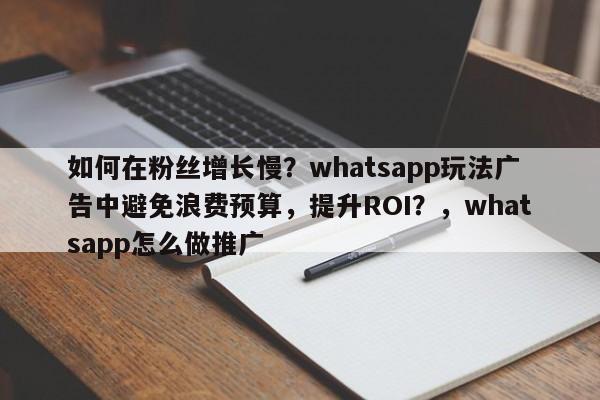 如何在粉丝增长慢？whatsapp玩法广告中避免浪费预算，提升ROI？，whatsapp怎么做推广
