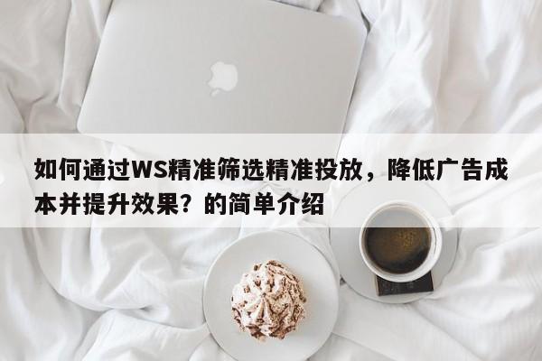 如何通过WS精准筛选精准投放，降低广告成本并提升效果？的简单介绍