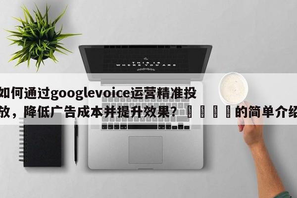 如何通过googlevoice运营精准投放，降低广告成本并提升效果？💡的简单介绍