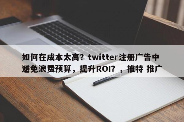 如何在成本太高？twitter注册广告中避免浪费预算，提升ROI？，推特 推广