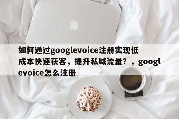 如何通过googlevoice注册实现低成本快速获客，提升私域流量？，googlevoice怎么注册