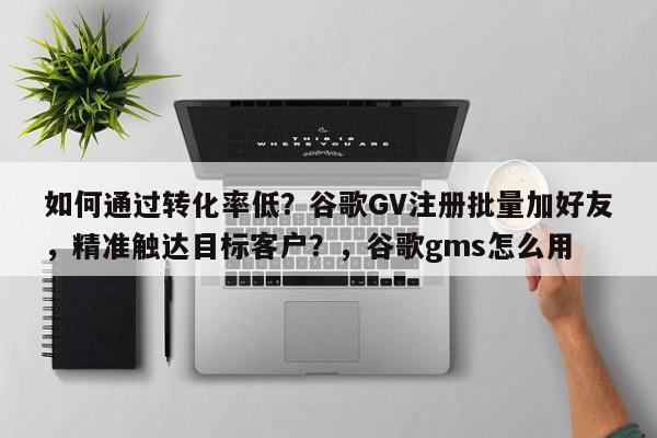如何通过转化率低？谷歌GV注册批量加好友，精准触达目标客户？，谷歌gms怎么用