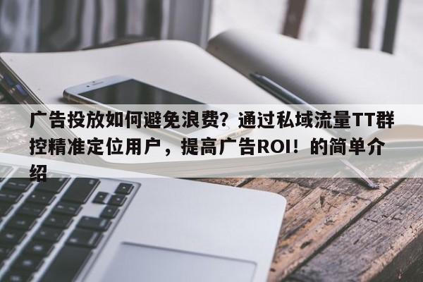 广告投放如何避免浪费？通过私域流量TT群控精准定位用户，提高广告ROI！的简单介绍