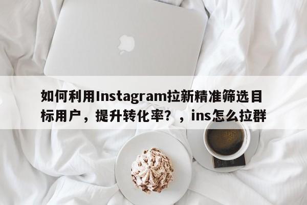 如何利用Instagram拉新精准筛选目标用户，提升转化率？，ins怎么拉群