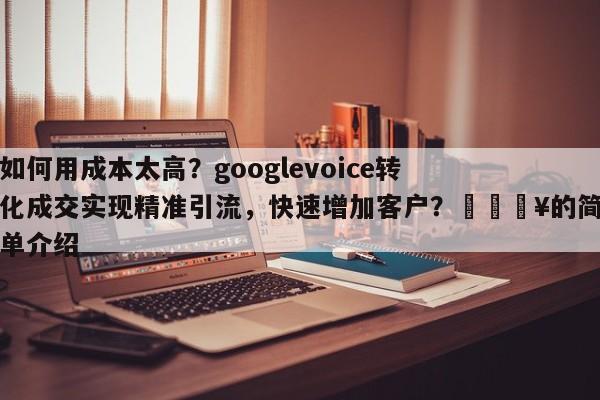 如何用成本太高？googlevoice转化成交实现精准引流，快速增加客户？💥的简单介绍