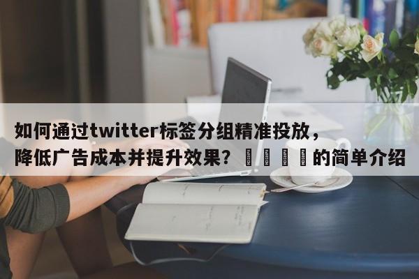 如何通过twitter标签分组精准投放，降低广告成本并提升效果？💡的简单介绍