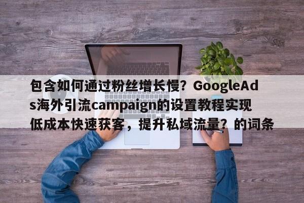 包含如何通过粉丝增长慢？GoogleAds海外引流campaign的设置教程实现低成本快速获客，提升私域流量？的词条