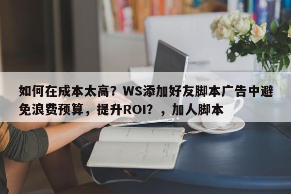 如何在成本太高？WS添加好友脚本广告中避免浪费预算，提升ROI？，加人脚本