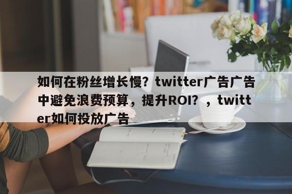 如何在粉丝增长慢？twitter广告广告中避免浪费预算，提升ROI？，twitter如何投放广告