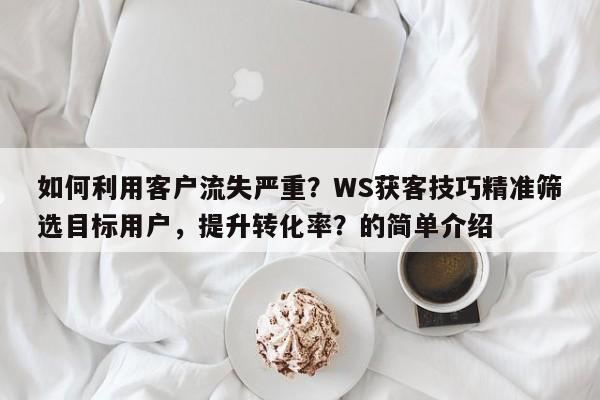 如何利用客户流失严重？WS获客技巧精准筛选目标用户，提升转化率？的简单介绍