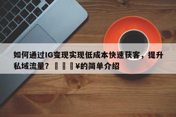 如何通过IG变现实现低成本快速获客，提升私域流量？💥的简单介绍