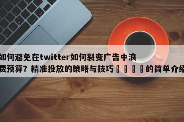 如何避免在twitter如何裂变广告中浪费预算？精准投放的策略与技巧💡的简单介绍