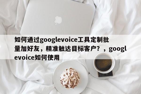 如何通过googlevoice工具定制批量加好友，精准触达目标客户？，googlevoice如何使用