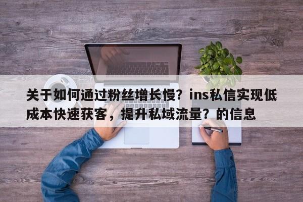 关于如何通过粉丝增长慢？ins私信实现低成本快速获客，提升私域流量？的信息