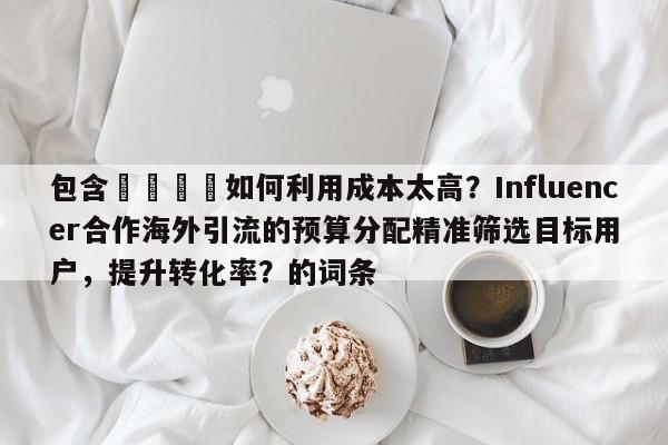 包含🚀如何利用成本太高？Influencer合作海外引流的预算分配精准筛选目标用户，提升转化率？的词条