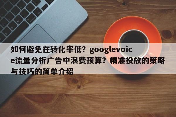 如何避免在转化率低？googlevoice流量分析广告中浪费预算？精准投放的策略与技巧的简单介绍