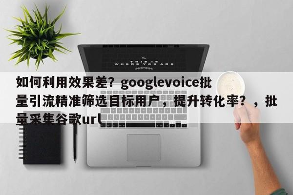 如何利用效果差？googlevoice批量引流精准筛选目标用户，提升转化率？，批量采集谷歌url