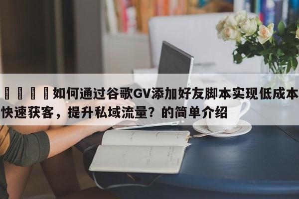 🚀如何通过谷歌GV添加好友脚本实现低成本快速获客，提升私域流量？的简单介绍