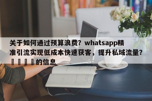 关于如何通过预算浪费？whatsapp精准引流实现低成本快速获客，提升私域流量？💡的信息