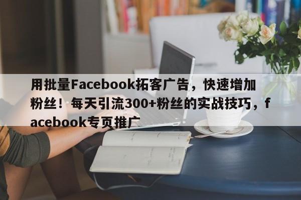 用批量Facebook拓客广告，快速增加粉丝！每天引流300+粉丝的实战技巧，facebook专页推广