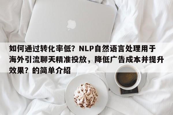 如何通过转化率低？NLP自然语言处理用于海外引流聊天精准投放，降低广告成本并提升效果？的简单介绍