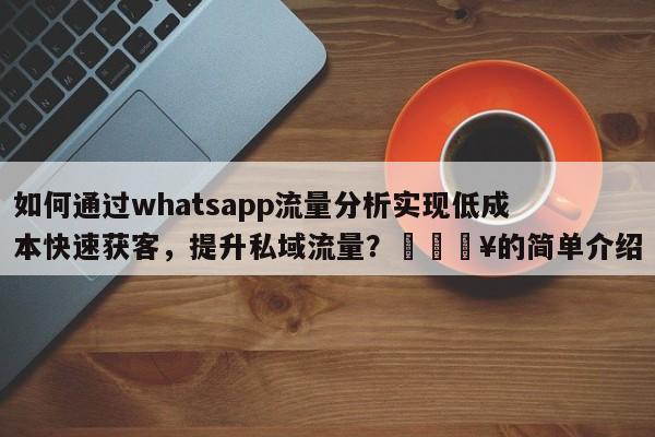 如何通过whatsapp流量分析实现低成本快速获客，提升私域流量？🔥的简单介绍