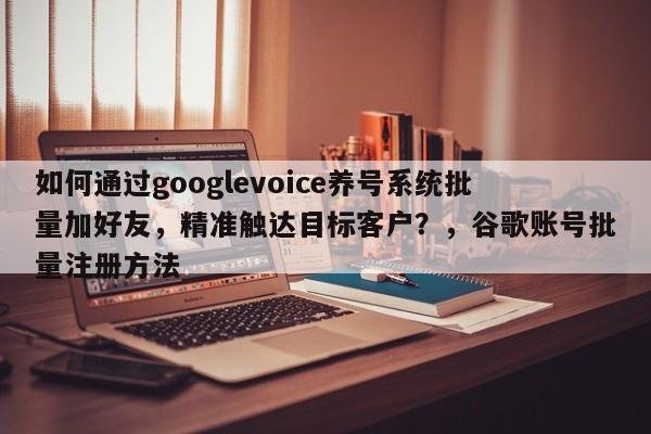 如何通过googlevoice养号系统批量加好友，精准触达目标客户？，谷歌账号批量注册方法