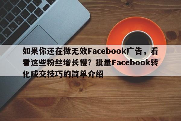 如果你还在做无效Facebook广告，看看这些粉丝增长慢？批量Facebook转化成交技巧的简单介绍