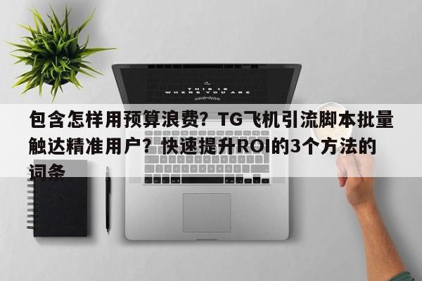 包含怎样用预算浪费？TG飞机引流脚本批量触达精准用户？快速提升ROI的3个方法的词条