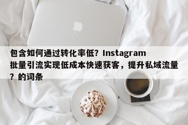 包含如何通过转化率低？Instagram批量引流实现低成本快速获客，提升私域流量？的词条